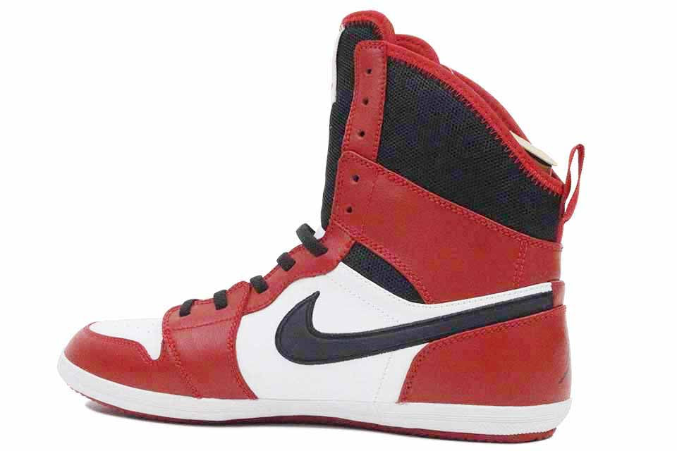 Air Jordan 1Â Skinny High (Gs)