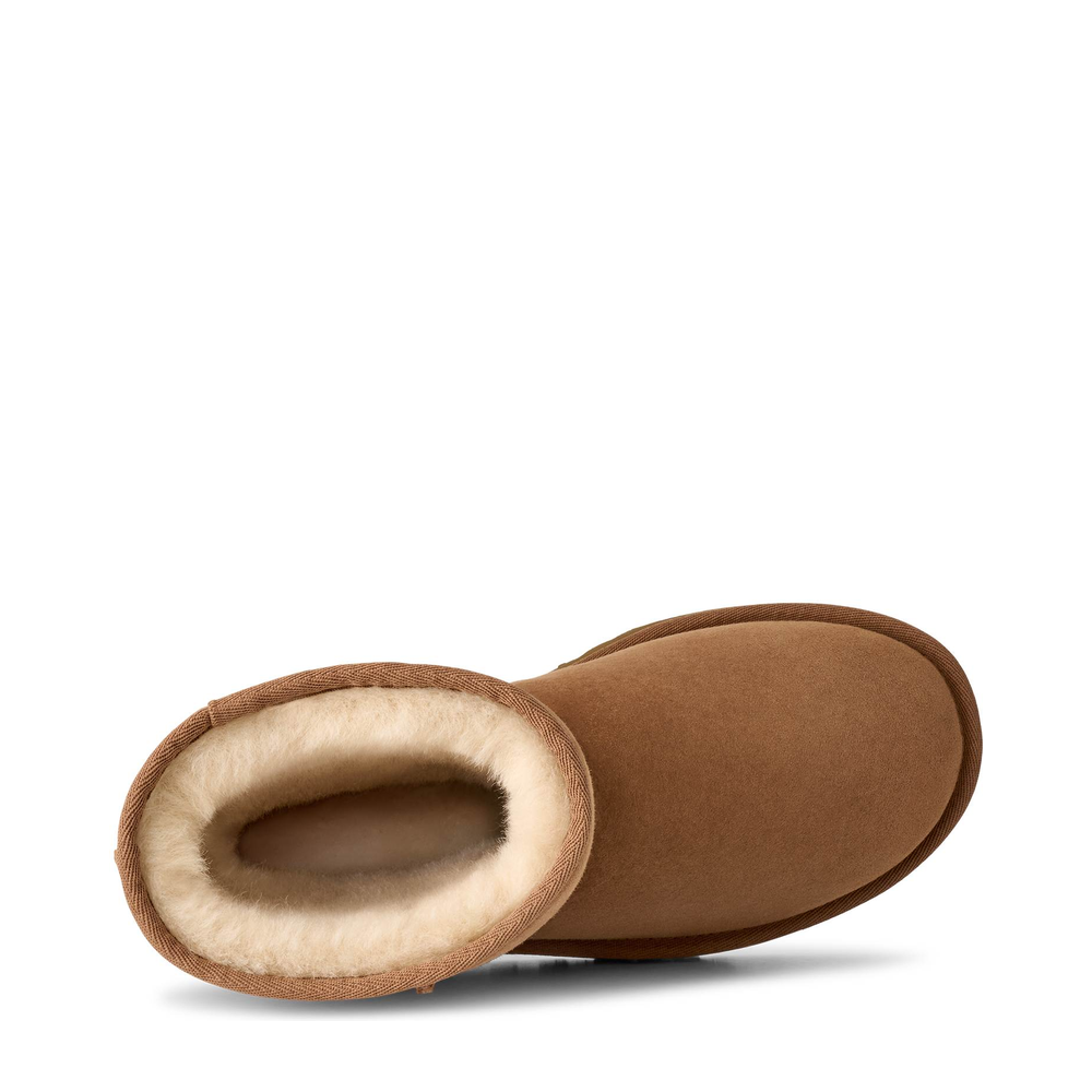UGG Classic Short II (W) 'Chestnut' boot, alternate view 5