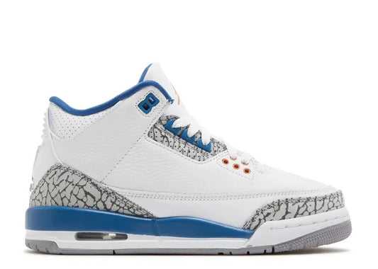 Air Jordan 3 GS white & blue sneaker with elephant print and metallic copper details.
