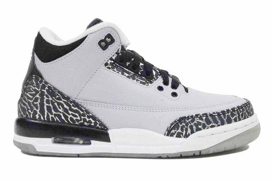 Air Â Jordan 3 Retro (GS) "Wolf Grey"